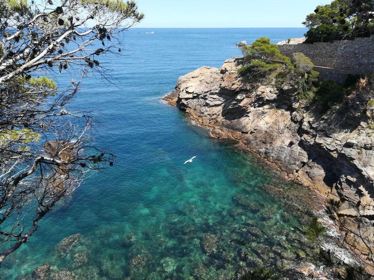 Domus Aurea Apartment Palamos